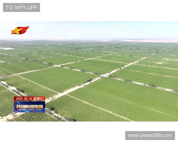 兵团卫视在线直播高清观看平台正式上线